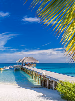 Adult only hotels & resorts in Bahamas