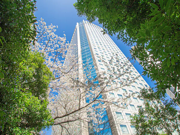 A tall building with a modern glass facade, surrounded by lush green trees and blooming white flowers.